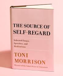 Image of the cover of The Source of Self Regard, blush pink with black and brown type.