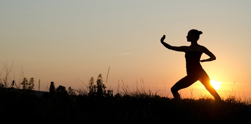 Canceled: Activity: Wild Goose Qigong