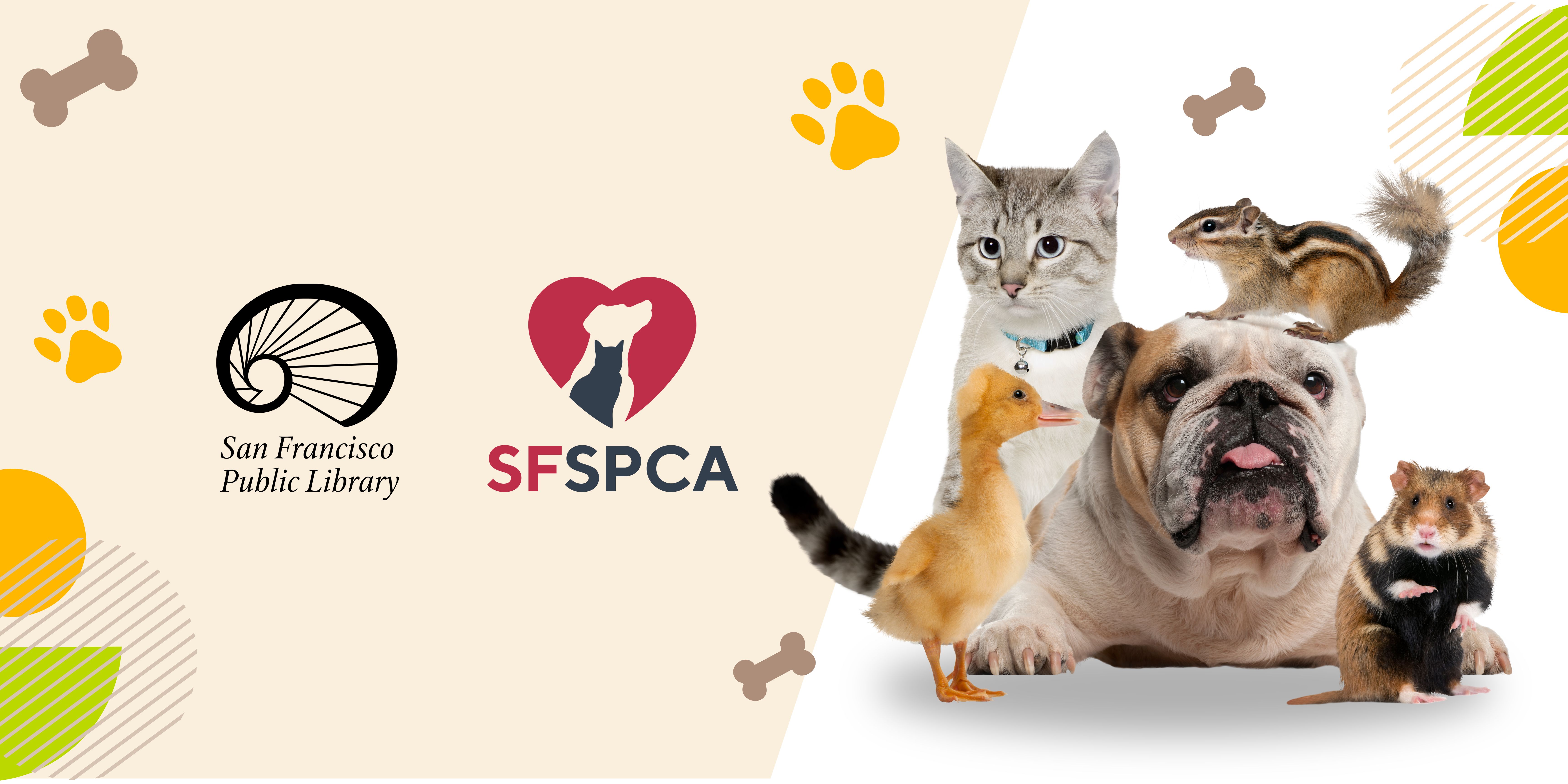 Activity: Therapy Pets at the Library