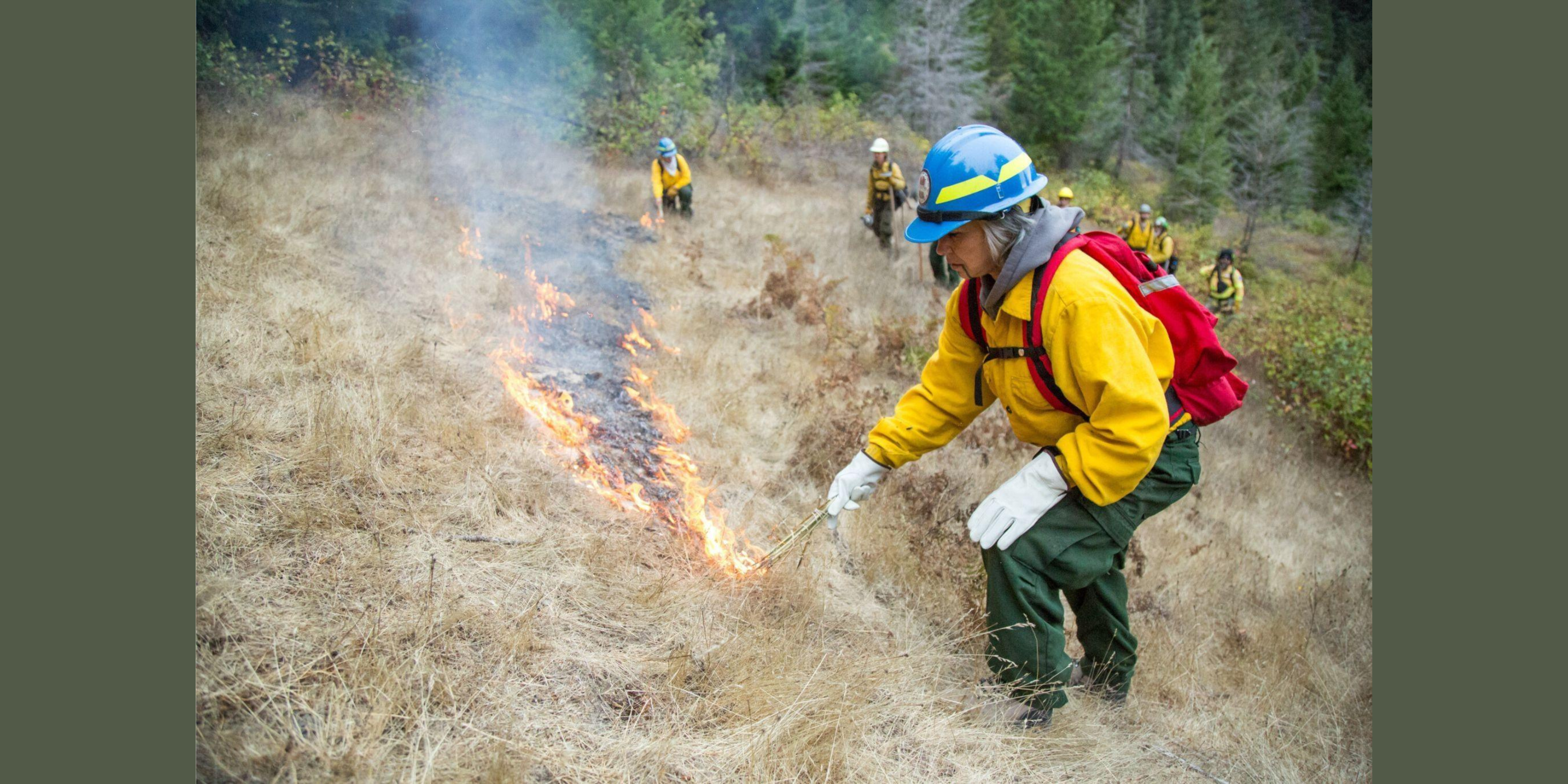 Film: Elemental: Reimagine Wildfire