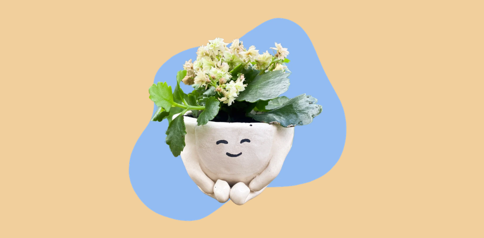 Air Dry Pottery at Noe Valley/Sally Brunn Branch Library