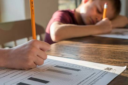 Services: Homework Help