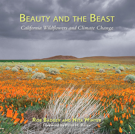 Beauty and the Beast: California Wildflowers and Climate Change