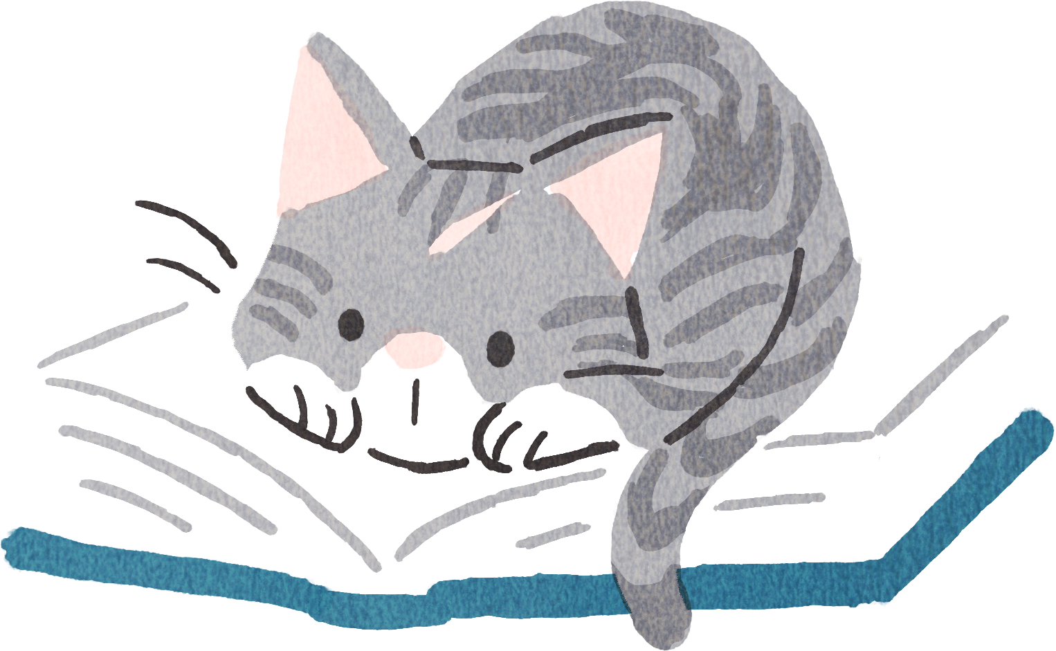 gray cat on book