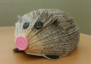 Book Hedgehog
