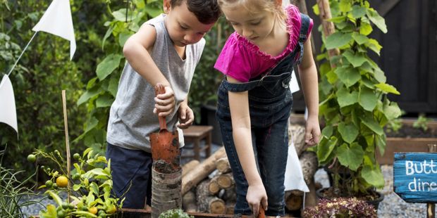 Social: Plant Swap and Q & A with Master Gardeners