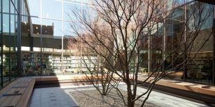 Courtyard at Bayview Library