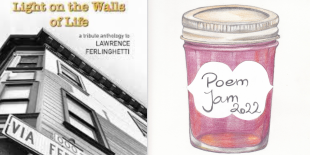 Poem Jam Light on the Walls of Life Zoom banner.png