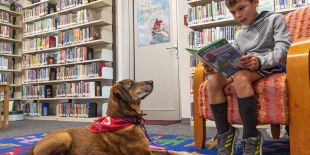 a-young-boy-named-patrick-reads-aloud-to-a-dog-named-e0b287-1024.jpg