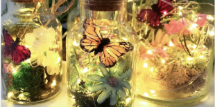 Fairy Jars.png