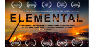 elemental booked banner.png