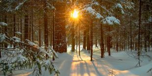 december-solstice-winter.jpg