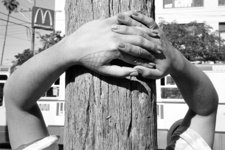 The Continuing Story of Life on Earth: 25 Years of Hamburger Eyes