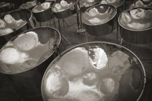 steelpan instruments