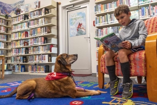 a-young-boy-named-patrick-reads-aloud-to-a-dog-named-e0b287-1024.jpg