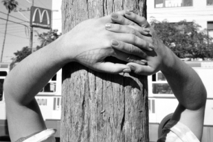 The Continuing Story of Life on Earth: 25 Years of Hamburger Eyes
