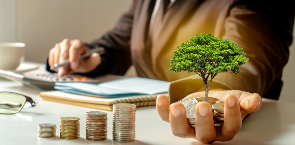Person holding tree while calculating money