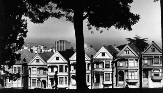 View of houses on Steiner Street, from Alamo Square Park