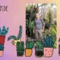 Presentation: Succulent Gardening with Kipp McMichael