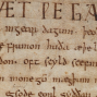 Speaker: How I Became Scribe C of the Beowulf Manuscript with Cheryl Jacobsen
