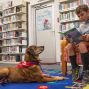 Early Learning: Puppy Dog Tales