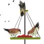 Workshop: Bird Feeders
