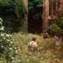 Film: The Secret Garden