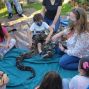 Activity: The Little Explorers Creepy and Crawly Reptile Petting Zoo