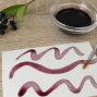 Workshop: Natural Ink Making