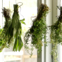 Talk: Homegrown Herbs Made Easy