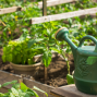 Presentation: Vegetable Gardening in Containers