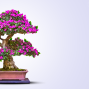 Pink And White Bonsai Tree YouTube Thumbnail.png