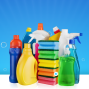 Workshop: Healthy Home Cleaning