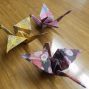 2024-05_2023-12_origami.jpg