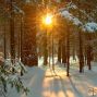 december-solstice-winter.jpg