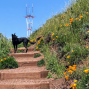 Author: Stairways of San Francisco with Mary Burk and Alexandra Kenin