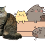 Activity: Cats and Kawaii Drawing