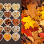 Activity: Fall Snack Trials