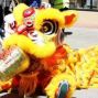 Performance: Lion Dance with West Coast Lion Dance Troupe 西岸醒獅團舞獅表演