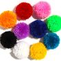 Workshop: Pompom Lab