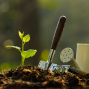 Social: Plant Swap 植物交換會