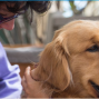 Social: Therapy Pets at the Library