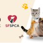 Activity: Therapy Pets at the Library