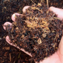 Presentation: Composting in Small Spaces