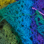 Activity: Fiber Arts Craft Circle