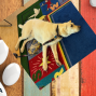 Social: Pet Therapy