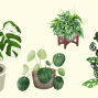 Social: Plant Swap