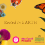 Workshop: Rooted in Earth—Cacao and Pocket Altars for Connection and Care