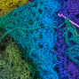 Social: Intergenerational Crochet Club