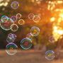 Activity: Bubbleology